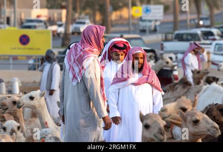 Buraydah, Saudi-Arabien, 4. August 2023: Soudi-Männer auf einem Kamelmarkt Stockfoto