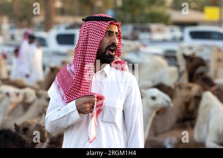 Buraydah, Saudi-Arabien, 4. August 2023: Soudi-Männer auf einem Kamelmarkt Stockfoto