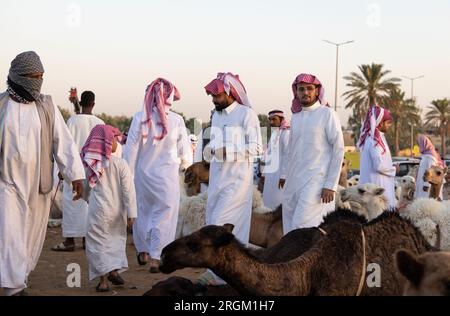 Buraydah, Saudi-Arabien, 4. August 2023: Soudi-Männer auf einem Kamelmarkt Stockfoto