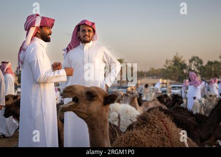 Buraydah, Saudi-Arabien, 4. August 2023: Soudi-Männer auf einem Kamelmarkt Stockfoto