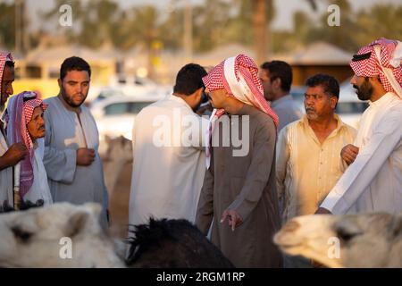 Buraydah, Saudi-Arabien, 4. August 2023: Soudi-Männer auf einem Kamelmarkt Stockfoto