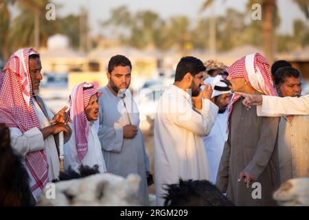 Buraydah, Saudi-Arabien, 4. August 2023: Soudi-Männer auf einem Kamelmarkt Stockfoto