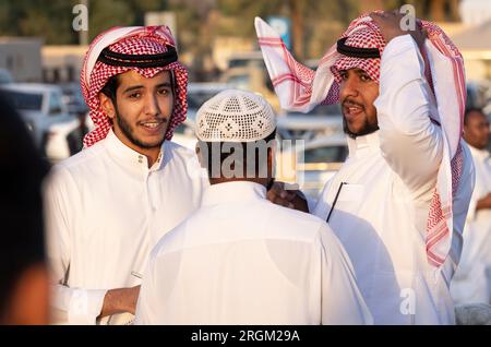 Buraydah, Saudi-Arabien, 4. August 2023: Südafrikanische Kamele und Männer auf einem Kamelmarkt Stockfoto