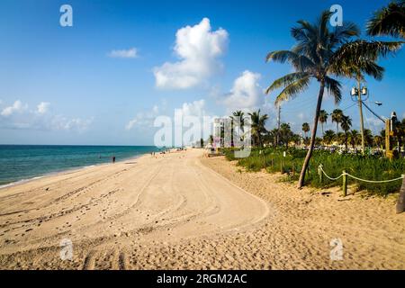 DANIA BEACH, FLORIDA, USA - JULI 24 2023 Landschaft am schönen Sandstrand von Florida tagsüber Stockfoto