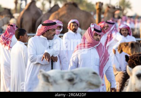 Buraydah, Saudi-Arabien, 4. August 2023: Soudi-Männer auf einem Kamelmarkt Stockfoto