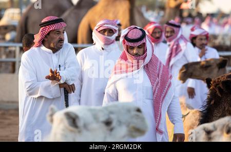 Buraydah, Saudi-Arabien, 4. August 2023: Soudi-Männer auf einem Kamelmarkt Stockfoto