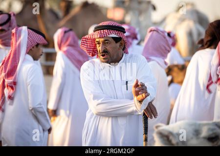 Buraydah, Saudi-Arabien, 4. August 2023: Südafrikanische Kamele und Männer auf einem Kamelmarkt Stockfoto