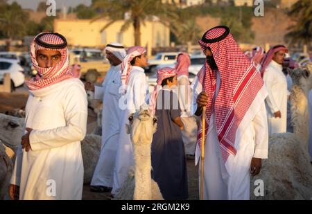 Buraydah, Saudi-Arabien, 4. August 2023: Südafrikanische Kamele und Männer auf einem Kamelmarkt Stockfoto
