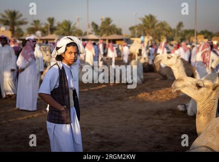 Buraydah, Saudi-Arabien, 4. August 2023: Südafrikanische Kamele und Männer auf einem Kamelmarkt Stockfoto