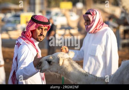Buraydah, Saudi-Arabien, 4. August 2023: Südafrikanische Kamele und Männer auf einem Kamelmarkt Stockfoto