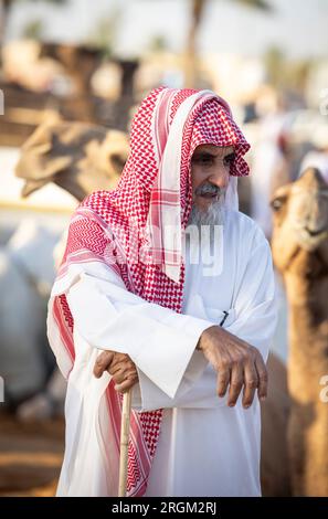 Buraydah, Saudi-Arabien, 4. August 2023: Südafrikanische Kamele und Männer auf einem Kamelmarkt Stockfoto