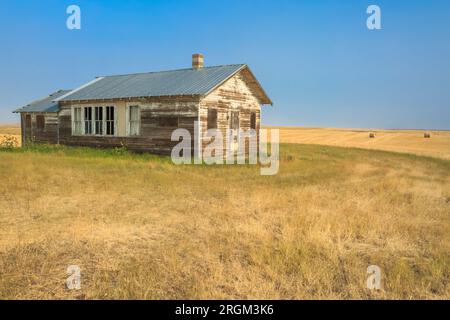 Alte Schule in der Prärie über Weizenfeldern bei Fort benton, montana Stockfoto