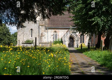 St. Mary's Church im Dorf Kintbury, Berkshire, England, Großbritannien, im Sommer Stockfoto