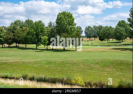 Numansdorp, Südholland, Niederlande, 4. Juli 2023 - Golfplatz mit grünen Rasenflächen und Bäumen Stockfoto