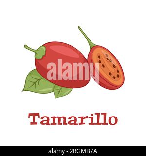 Tamarillo oder Solanum betaceum, isoliert auf weißem Hintergrund, Vektordarstellung. Stock Vektor