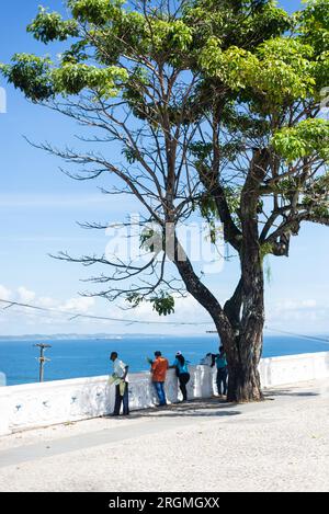 Salvador, Bahia, Brasilien - 02. April 2023: Touristen werden auf dem Platz Castro Alves unter einem Baum gesehen und genießen den Blick auf die Bucht von Todos os Santos in Salvador Stockfoto