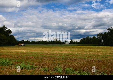 Geerntetes Weizenfeld, beleuchtet von Sonnenlicht, und ein Bienenstock-Truck auf der anderen Seite des Feldes neben einem Wald in Sorsko Polje in Slowenien Stockfoto