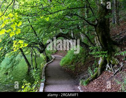 Der Nationalpark Plitvicer Seen ist einer der ältesten und größten Nationalparks in Kroatien. Dieses Foto wurde im Juli 2023 aufgenommen. Stockfoto