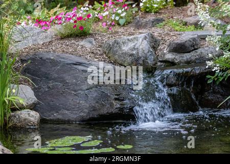 Landschaftsarchitektur mit Wasserfällen und Stauden als Hinterhof-Oase Stockfoto