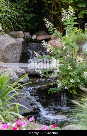 Landschaftsarchitektur mit Wasserfällen und Stauden als Hinterhof-Oase Stockfoto