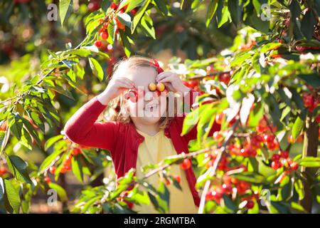 Kinder pflücken Kirschen auf einer Obstplantage. Kinder pflücken Kirschen im Sommer Obstgarten. Kleinkind Kind essen frisches Obst vom Baum Garten. Stockfoto