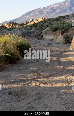 Bei Sonnenaufgang in Alabama Hills, CA Stockfoto