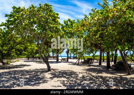 State Park und Strand am Dania Beach Florida, USA, tagsüber blauer Himmel Stockfoto