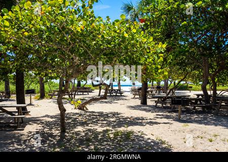 State Park und Strand am Dania Beach Florida, USA, tagsüber blauer Himmel Stockfoto