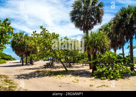 State Park und Strand am Dania Beach Florida, USA, tagsüber blauer Himmel Stockfoto