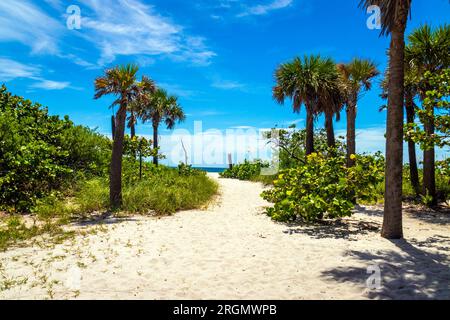 State Park und Strand am Dania Beach Florida, USA, tagsüber blauer Himmel Stockfoto