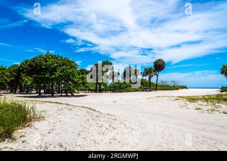 State Park und Strand am Dania Beach Florida, USA, tagsüber blauer Himmel Stockfoto