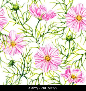 Aquarell Cosmos Blumen handgemalt nahtlos. Rosa Blumen, Blätter, Knospen auf weißem Hintergrund. Botanisches Muster für Stoffe, Textilien, Wände Stockfoto