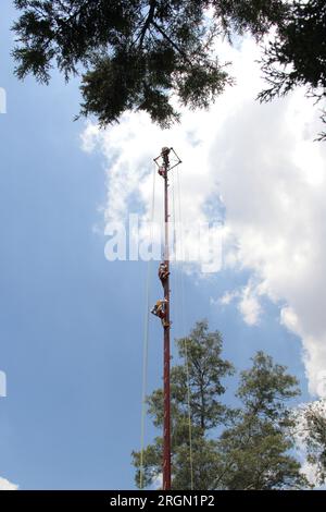 Mexiko-Stadt, Mexiko - 2. August 2023: Die rituelle Zeremonie der Voladores de Papantla ist ein Tanz, der mit Fruchtbarkeit in Verbindung gebracht wird Stockfoto