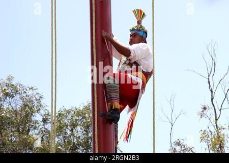 Mexiko-Stadt, Mexiko - 2. August 2023: Die rituelle Zeremonie der Voladores de Papantla ist ein Tanz, der mit Fruchtbarkeit in Verbindung gebracht wird Stockfoto