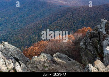 Der Gipfel des Hawksbill Mountain, Shenandoah-Nationalpark, Virginia Stockfoto