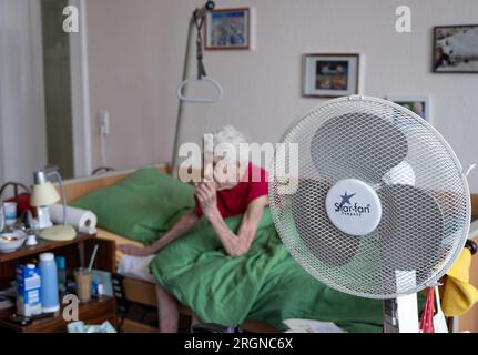 Berlin, Deutschland. 31. Juli 2023. Ein Standfan ist im Zimmer von Brigitte Richter, einer 97-jährigen Seniorin in Pflegebedürftigkeit. Kredit: Monika Skolimowska/dpa/Alamy Live News Stockfoto