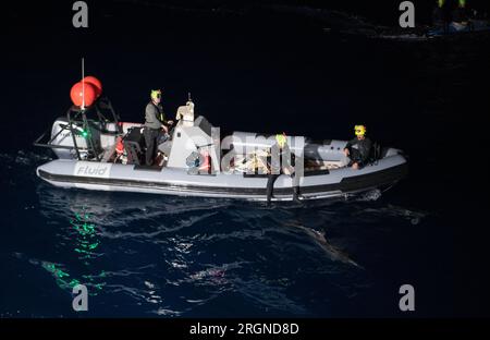 Bericht: SpaceX Crew-3 Splashdown der NASA (Mai 2022) - Delfine schwimmen neben den SpaceX-Unterstützungsteams, nachdem das SpaceX Crew Dragon Endurance-Raumschiff im Golf von Mexiko vor der Küste von Tampa, Florida, gelandet ist, Freitag, 6. Mai 2022. Stockfoto