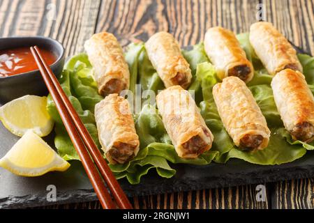 Vietnamesische und gebratene Frühlingsrollen mit Huhn und Gemüse, serviert mit Sauce, Nahaufnahme auf einem Teller auf dem Tisch. Horizontal Stockfoto