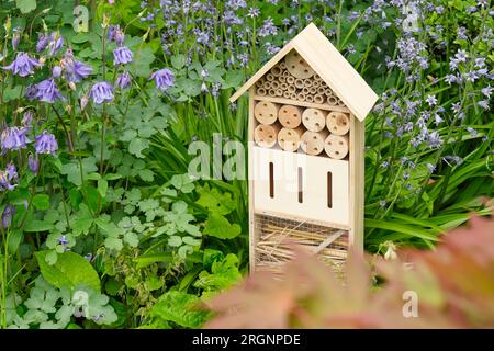 Ein Insektenhotel oder Bienenhaus in einem Sommergarten. Ein Insektenhotel ist eine künstliche Struktur, die geschaffen wurde, um Insekten in verschiedenen Formen Zuflucht zu bieten Stockfoto