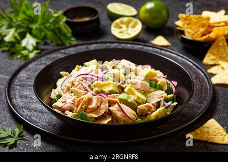 Thunfischsalat mit Avocado, roten Zwiebeln, Gurke und Kapern mit Olivenöl-Limonen-Petersilie Dressing in schwarzer Schüssel auf Betontisch mit Taco-Chips Stockfoto