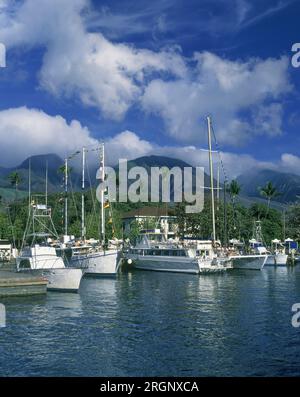 1994 HISTORISCHE YACHTEN QUAY LAHAINA HAFEN MAUI HAWAII USA Stockfoto