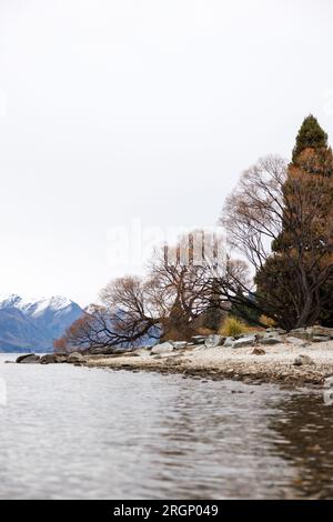 Eine Reihe von Gipfeln in Queenstown, Neuseeland. Das Bild zeigt einen See und Bäume im Vordergrund und die Berge mit Schnee auf ihren Gipfeln im b Stockfoto