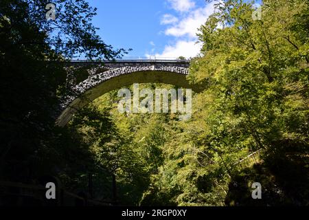 Die Bohinj Eisenbahnbrücke in der Vintgar-Schlucht, Slowenien Stockfoto