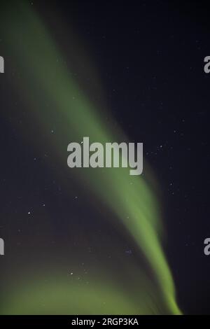 Aurora in Reykjavik Stockfoto