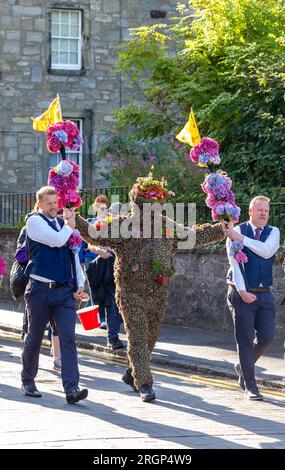 South Queensferry, Schottland. 11. August 2023. Der Burryman oder Burry man ist eine alte Tradition ein Mann voller Grate wird über neun Stunden lang durch die Stadt South Queensferry in der Nähe von Edinburgh geführt. Die Tradition besagt, dass er der Stadt Glück bringen wird, wenn sie ihm Whisky und Geld geben, und dieses Pech wird entstehen, wenn der Brauch eingestellt wird. © Richard Newton/Alamy Live News Stockfoto