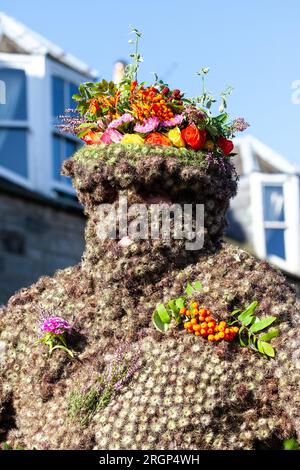 South Queensferry, Schottland. 11. August 2023. Der Burryman oder Burry man ist eine alte Tradition ein Mann voller Grate wird über neun Stunden lang durch die Stadt South Queensferry in der Nähe von Edinburgh geführt. Die Tradition besagt, dass er der Stadt Glück bringen wird, wenn sie ihm Whisky und Geld geben, und dieses Pech wird entstehen, wenn der Brauch eingestellt wird. © Richard Newton/Alamy Live News Stockfoto