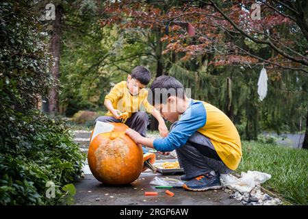 Junge Jungs schnitzen Kürbisse vor Halloween. Stockfoto