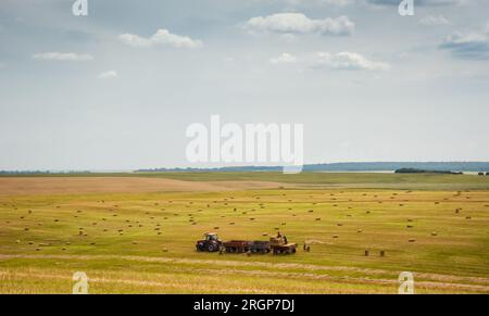 Ernte von Erntegut. Ein Team von Landarbeitern mit Zugmaschine sammelt an einem sonnigen Nachmittag in hügeliger Landschaft Heuballen vom Feld. Stockfoto