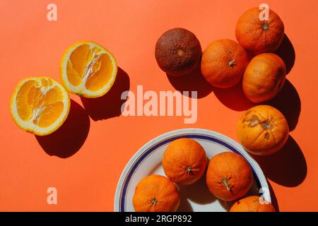 Frische Orangen und verdorbene Früchte, ökologischer Verbrauch Stockfoto