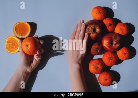 Frische Orangen und verdorbene Früchte, menschliche Wahl, Hände Stockfoto